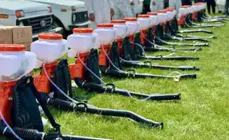 Эффективность борьбы с саранчой в Туркестане: новые методы и контроль качества препаратов могут изменить ситуацию