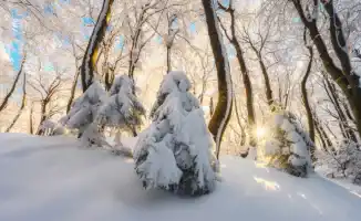 Арктический холод до -40 градусов: как экстремальные морозы повлияют на жизнь казахстанцев в конце февраля