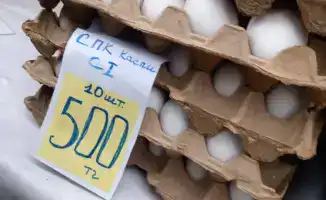 Ярмарка в Актау: 2 тонны картофеля из стабилизационного фонда и широкий ассортимент продуктов