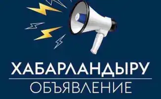 Конкурс по отбору независимых членов Наблюдательного совета «Digital Silk Road Company»: новые возможности для развития цифровых технологий в Казахстане