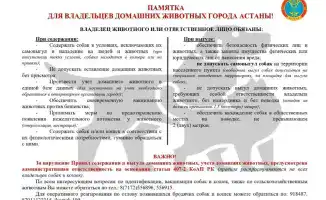 В Астане усиливаются меры по обеспечению ответственного обращения с домашними животными через разъяснительные рейды