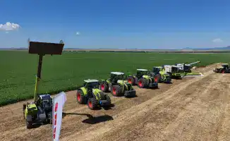 Агроинвестиции в ВКО: семена благосостояния, прорастающие в земле продовольственной безопасности