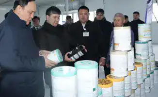 Талас: где пища, транспорт и надежда встречаются!