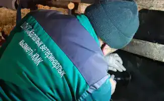 Бесплатная вакцинация животных в Алматы