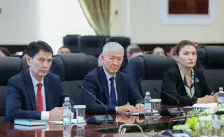 Системный подход к профилактике правонарушений в Шымкенте: последствия для общественной безопасности