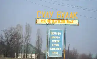 Экологическая революция в Жетысайском районе: личное участие акима в улучшении облика населенных пунктов