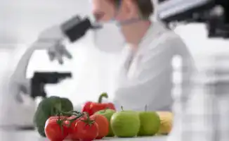 121 тревожных сигналов: карантин растений в опасности из-за нарушений при ввозе продукции из ЕАЭС