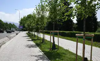 Алматы: к 2030 году город станет зелёным одеялом с 15 кв. м зелени на человека