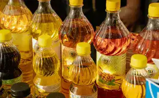 Казахстан достиг рекорда в производстве растительного масла, составив 889 тыс. тонн в 2025 году