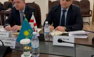 Казахстан и Грузия: укрепление двустороннего сотрудничества в сфере здравоохранения