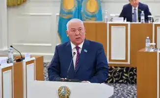 Новая Конституция: гибкость политической системы Казахстана