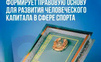 Конституция как строительный блок: закладываем правовую основу для спортивных побед в Казахстане