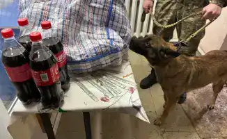 Попытка передачи наркотиков осужденному в УИС Кызылординской области пресечена