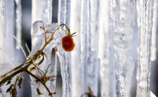 Февраль 2026: Казахстан ждет теплая зима с осадками