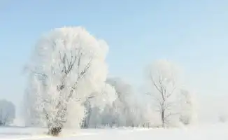 Синоптики Казгидромета предупреждают о резком похолодании в Казахстане после теплых дней с температурой до +17 градусов. Прогноз погоды на 5, 6 и 7 февраля предвещает значительное снижение температуры.