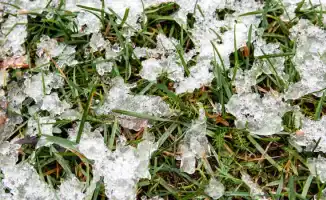 Сильные морозы в южном Казахстане: возможные последствия для населения и инфраструктуры в конце февраля