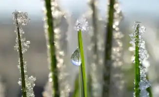 В январе 2026 года в Казахстане зафиксированы новые температурные максимумы, в том числе побит рекорд, державшийся 51 год. Аномальное тепло стало причиной обсуждений среди метеорологов и жителей страны, поднимая вопросы о климатических изменениях и их пос