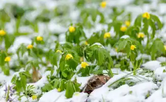 Синоптики Казгидромета прогнозируют теплую погоду до 20 градусов в Казахстане на 16-18 февраля