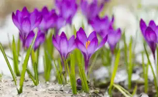 Казахстан ожидает возвращение долгожданного тепла: прогноз погоды на начало марта от синоптиков Казгидромета