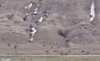 В Казахстане ожидается потепление: температура поднимется до 17 градусов в период с 3 по 5 февраля, согласно прогнозу синоптиков Казгидромета.