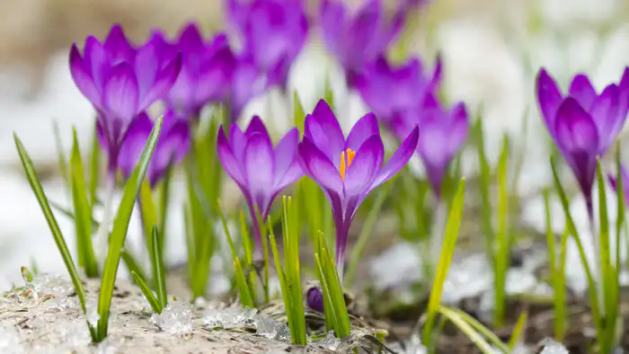 Казахстан ожидает возвращение долгожданного тепла: прогноз погоды на начало марта от синоптиков Казгидромета Павлодаре