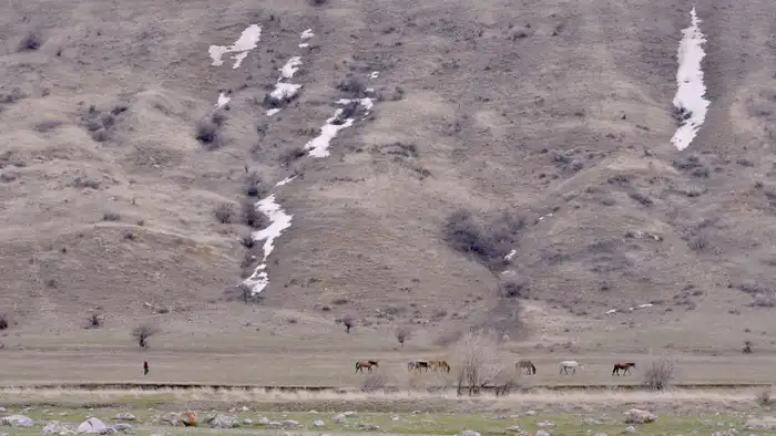 В Казахстане ожидается потепление: температура поднимется до 17 градусов в период с 3 по 5 февраля, согласно прогнозу синоптиков Казгидромета. Павлодаре