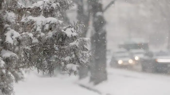 Прогноз погоды в Казахстане: холод и снег 19-21 февраля от синоптиков Казгидромета Павлодаре