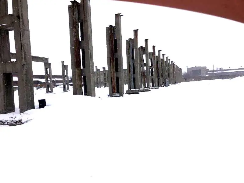 В ВКО запускаются новые производства по переработке молока Павлодаре