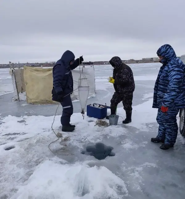 Водные тайны Балхаша: ученые раскрывают секреты рыбных запасов Павлодаре