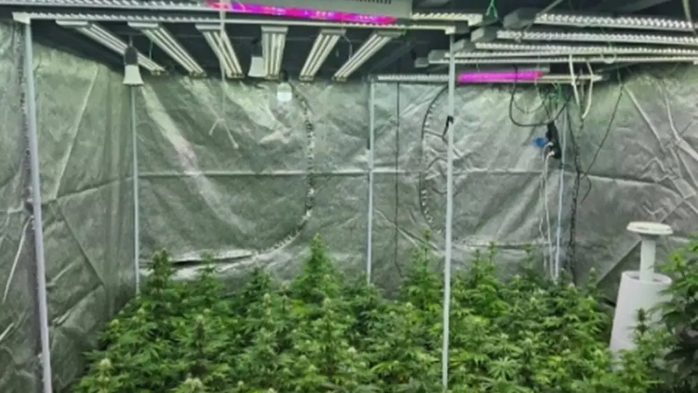 Противодействие наркобизнесу (4)