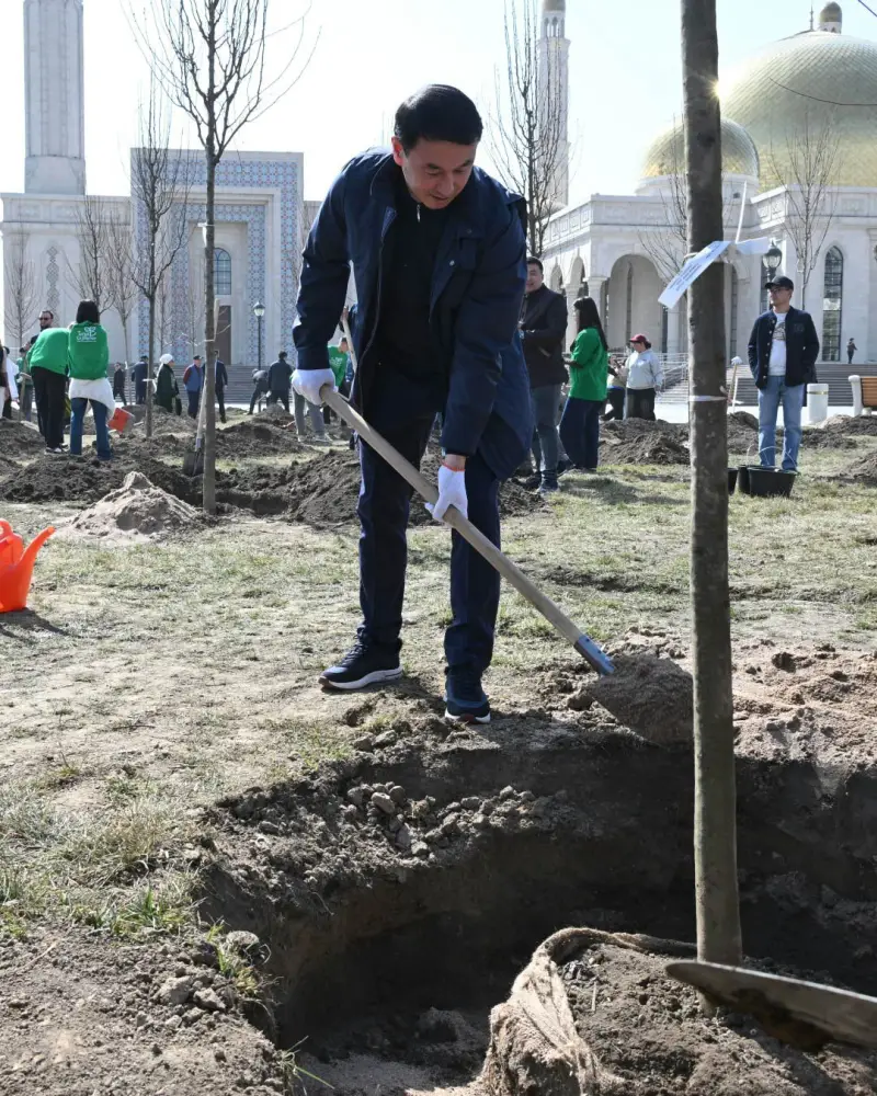 Алматы высадил рощу деревьев к Наурызу Павлодаре