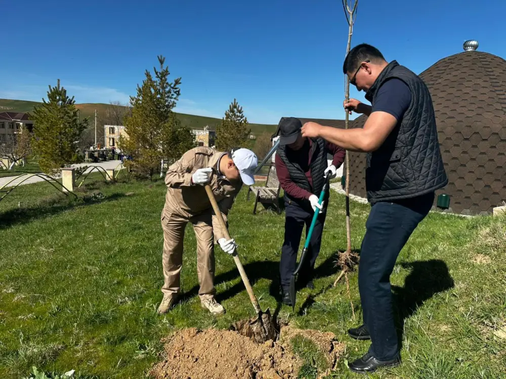 Turkestan: Clean-up of Springs and Tree Planting Initiative 'Möldir Bulak' in Tolebi District Павлодаре