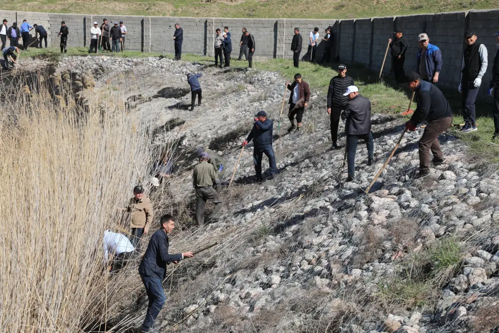 Очистка 15 километров каналов и арыков в Сарыагаше: вклад в экологию и общественное сознание Павлодаре