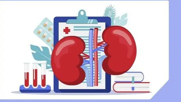 В Караганде стартует день открытых дверей в консультативно-диагностическом центре: бесплатные консультации и обследования для застрахованных Павлодаре