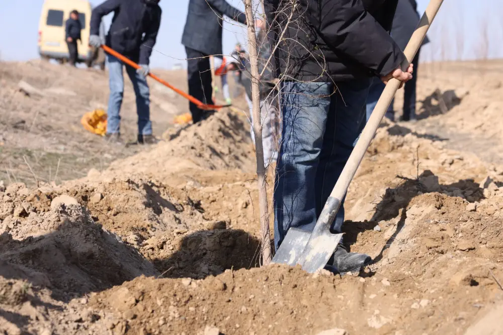 В Илийском районе ведутся масштабные работы по озеленению (2)