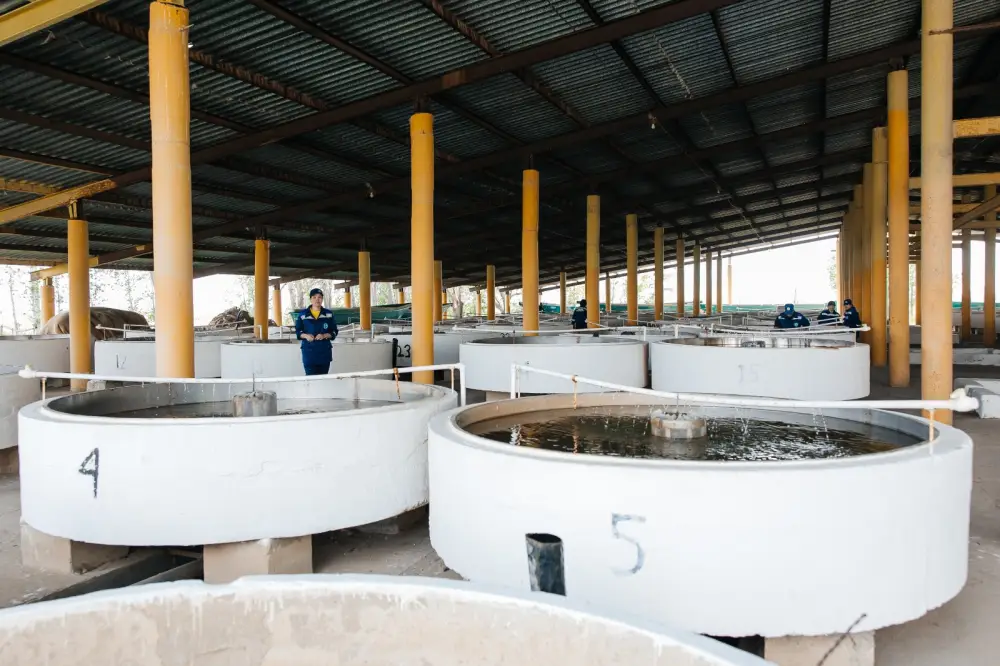 В Махамбетском районе будет введён в эксплуатацию завод по выращиванию рыбы с годовой мощностью 130 тонн (3)