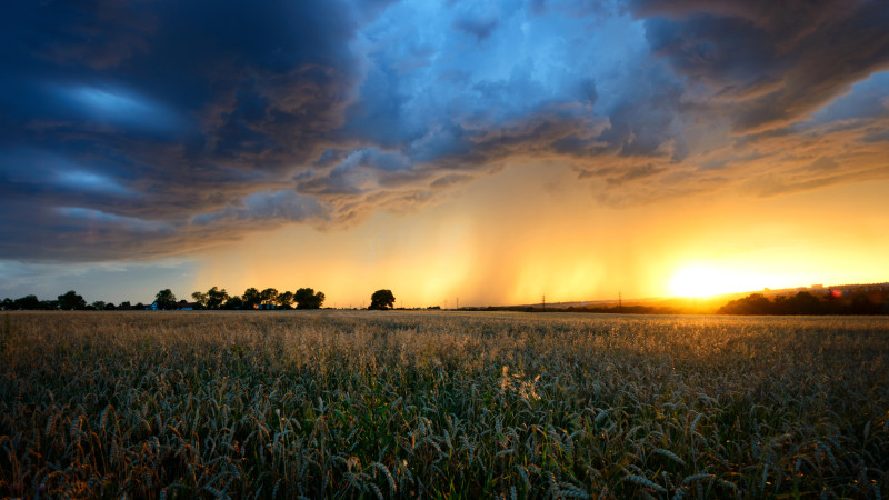 Казахстан готовится к 30-градусной жаре: синоптики прогнозируют аномально высокие температуры на 26-28 марта Павлодаре