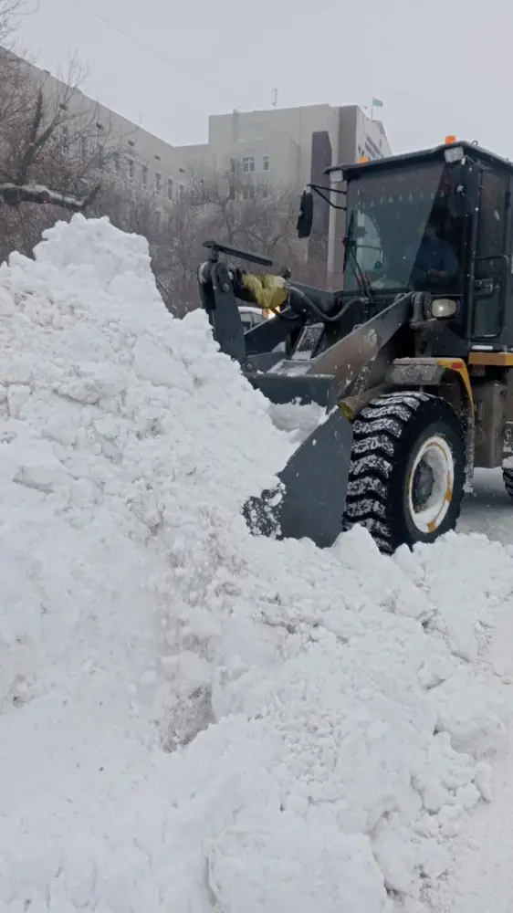Десятки тысяч кубометров снега вывезли из столицы прошлой ночью (8)