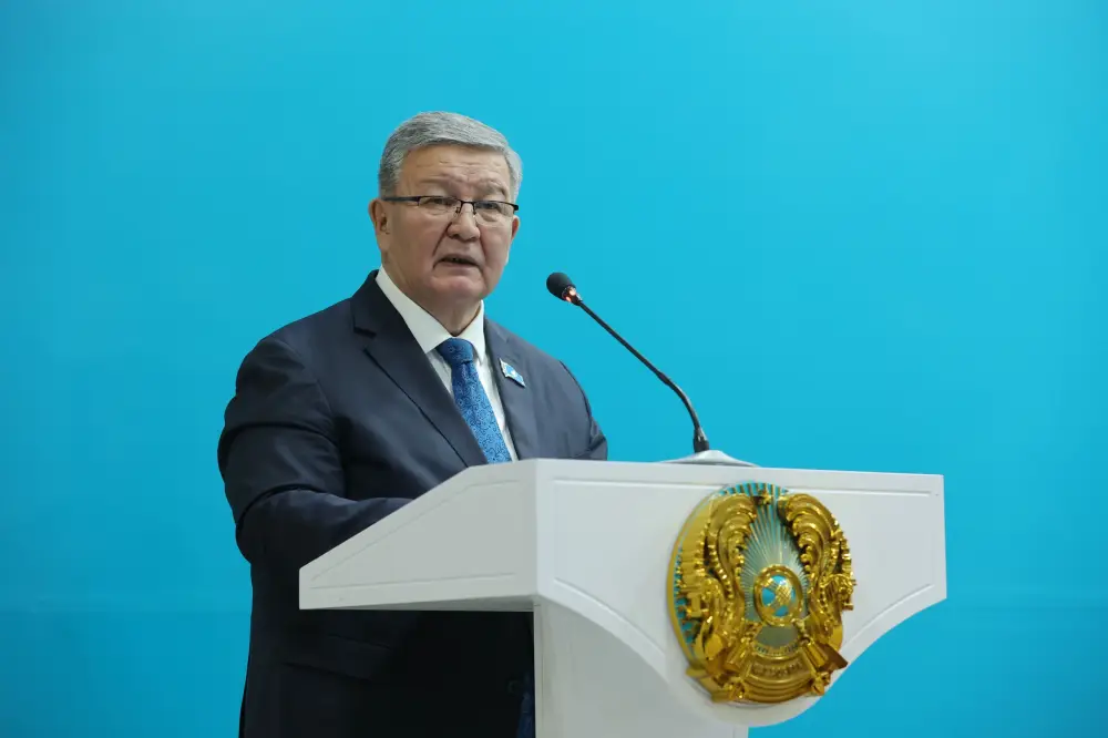 Новая Конституция - выбор народа (5)