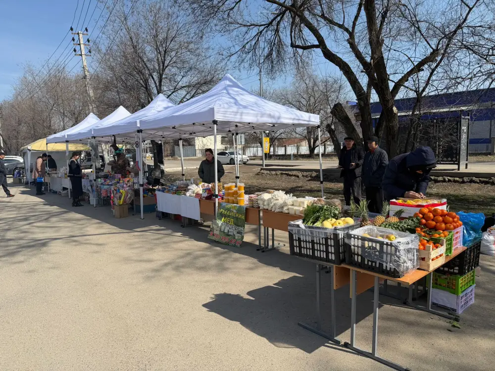 Ярмарка сельхозпродукции в Алатау Павлодаре