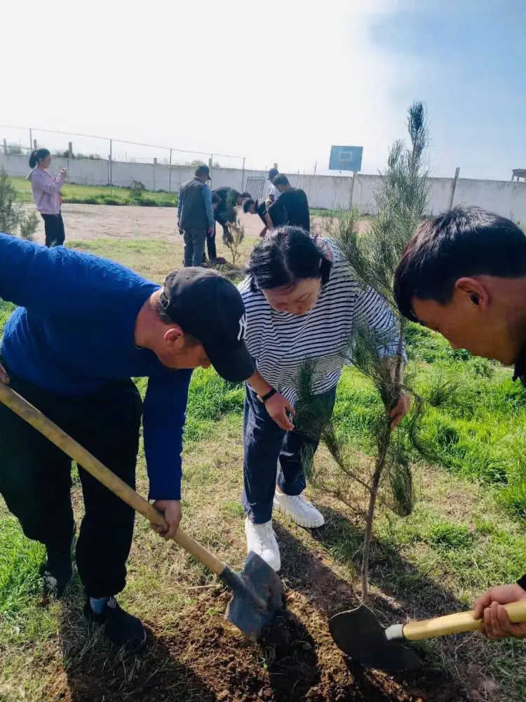 Инициатива по озеленению в Туркестанской области: международный опыт в воспитании экологической ответственности Павлодаре
