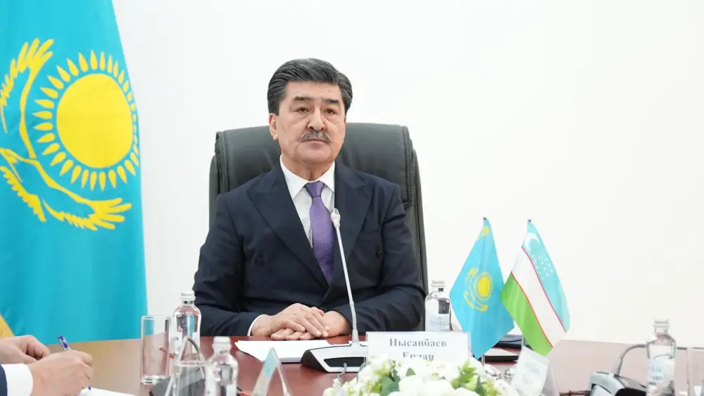 Онлайн встреча Министра экологии с Председателем Национального комитета по экологии и изменению климата Узбекистана (4)