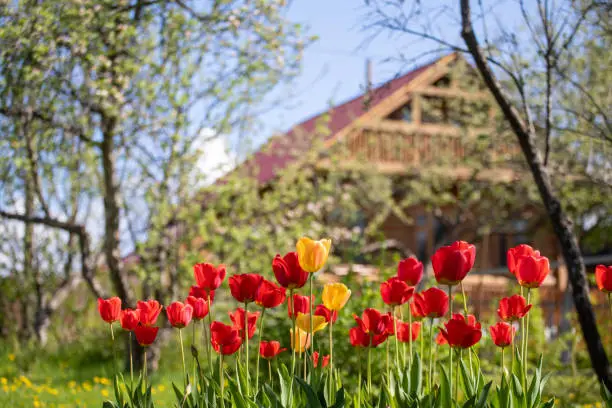 В Алматинской области продолжается масштабное включение дачных массивов в состав населённых пунктов Павлодаре