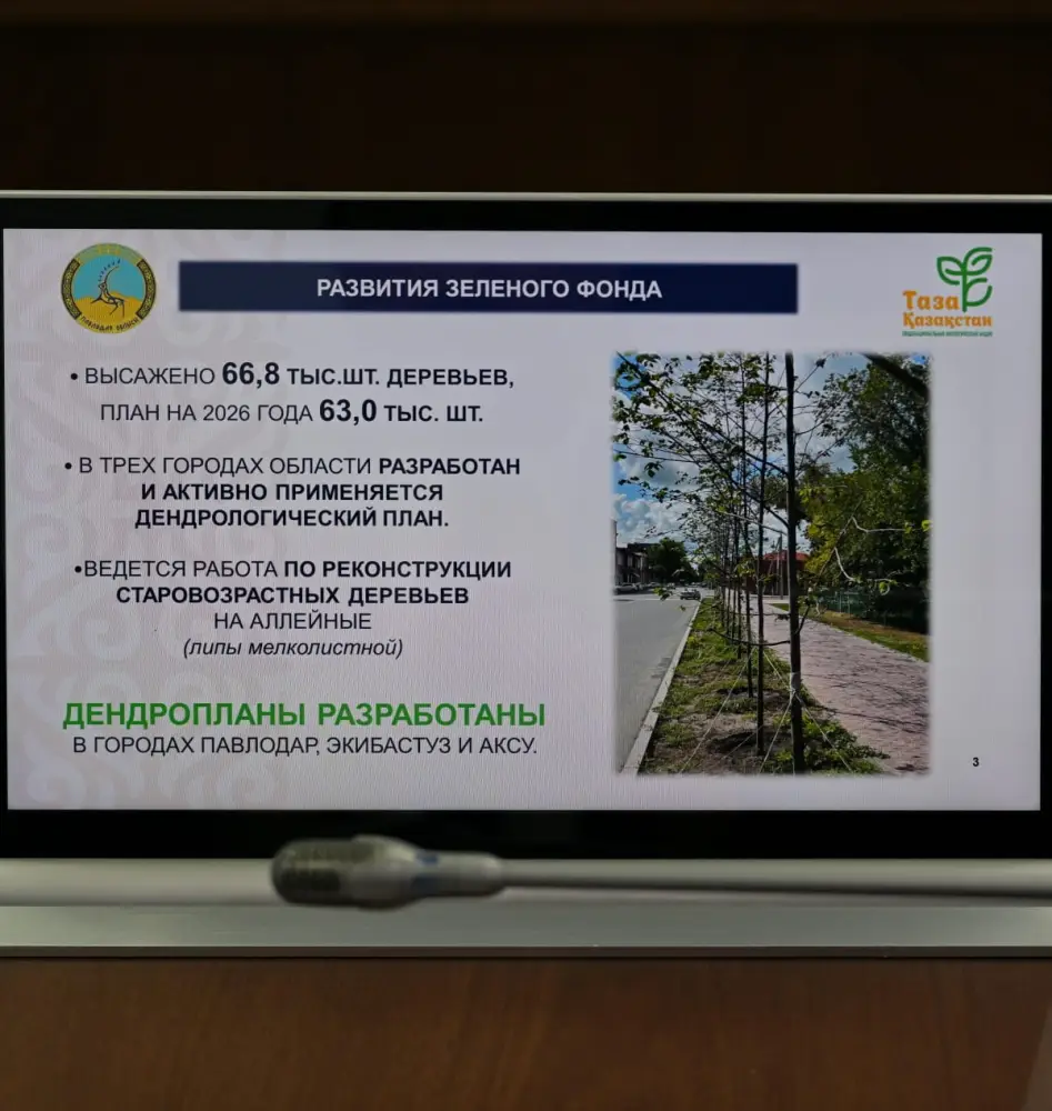 Сегодня в акимате области рассмотрели вопросы благоустройства и санитарной очистки населенных пунктов (2)