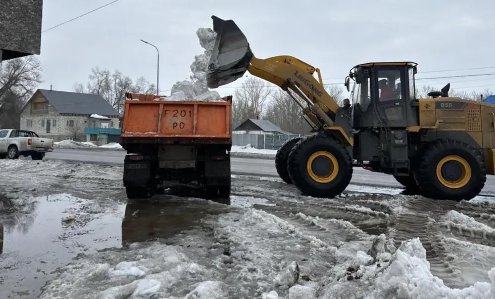 В области Абай продолжаются работы по вывозу снега и откачке талых вод (4)