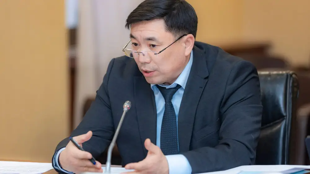 346 тыс. самозанятых и 1,2 млн предпринимателей выбрали специальные налоговые режимы на заседании Проектного офиса Павлодаре