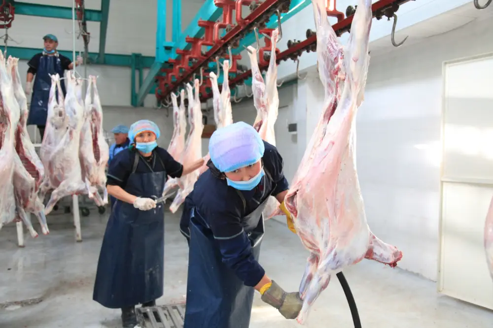 Более 2,5 тыс. человек работают в сфере переработки сельхозпродукции в Жамбылской области (4)