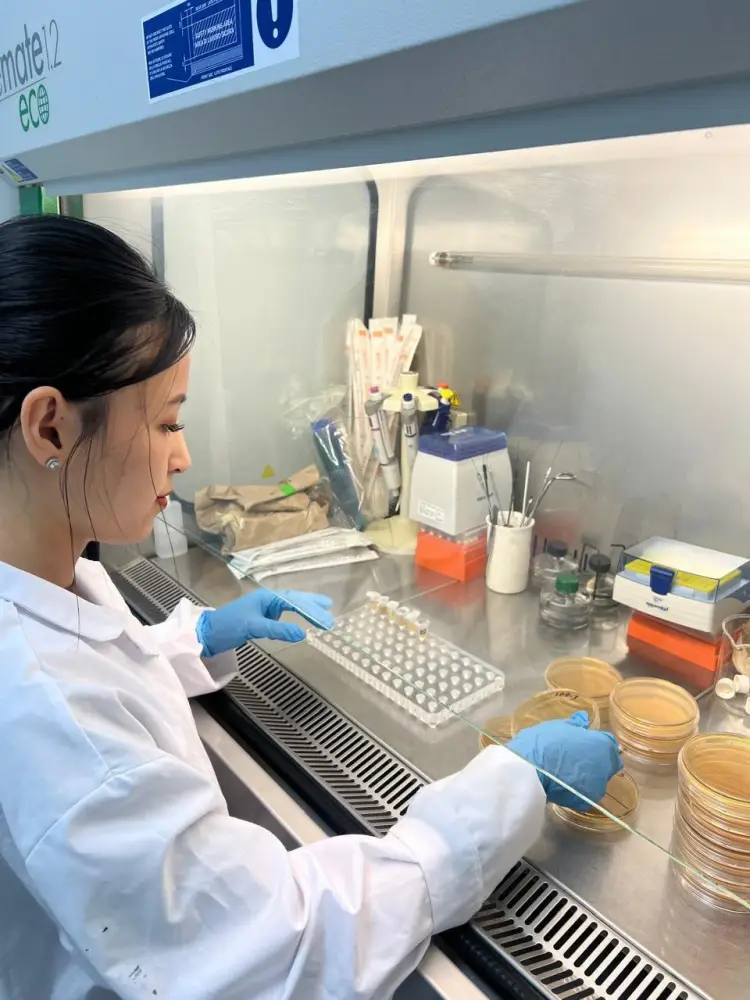 Разработка растительной добавки для иммунитета и контроля сахара в крови Павлодаре