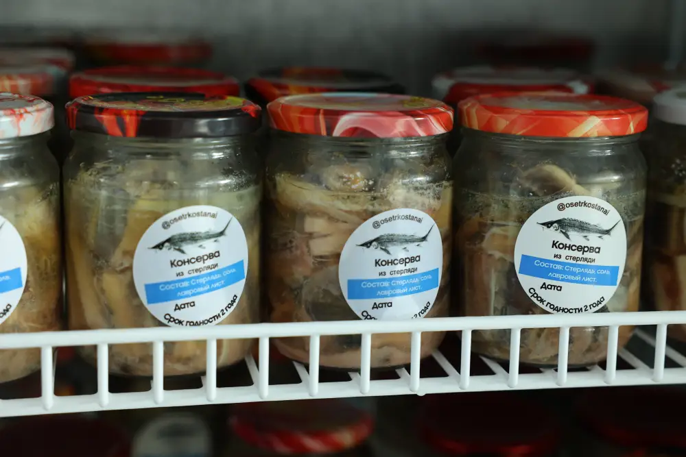 Рабочая поездка акима области в Костанайский район (10)