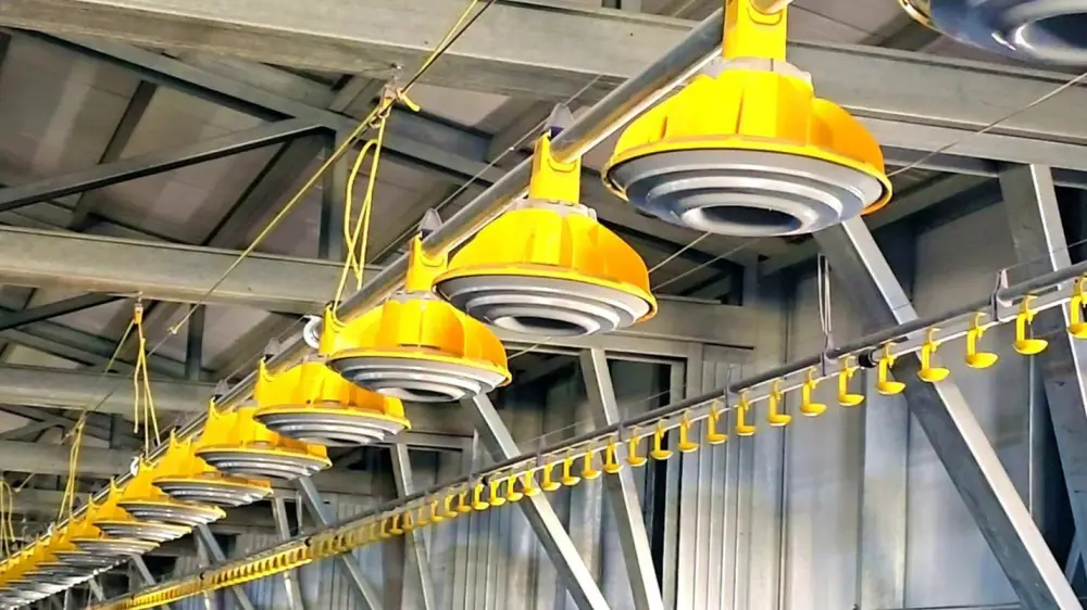 Птицефабрику мощностью 3,5 тыс. тонн в год запустят в Кызылординской области (4)